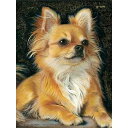 5Dダイヤモンドアート塗装ダイヤモンドアートチワワの子犬のかわいい動物モザイクアートDIY手芸キットダイヤモンドビーズ絵画キット人気手作り芸術品装飾大人、子供、初心者向けビー…(3)