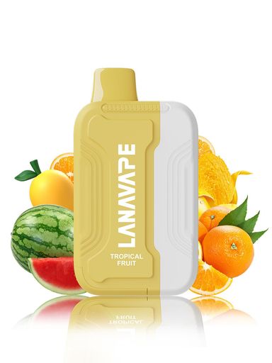 電子タバコ シーシャ Vape 本体 15000回吸引可能 大容量 使い捨て ニコチン タール無し ニコチンなし タールなし 持ち運び 水蒸気たばこ 爆煙ベイプ タバコの代わり Type-C充電可能 カートリ…