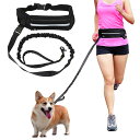 【BEAUTY PLAYER】犬用リード ウエストパック付き ショルダーリード 小·中·大型犬専用 多機能 調節可能な伸縮犬用リード 夜光 ...