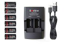 DoublepowCR123A充電池6本+充電器セット3.0V(3.2V)