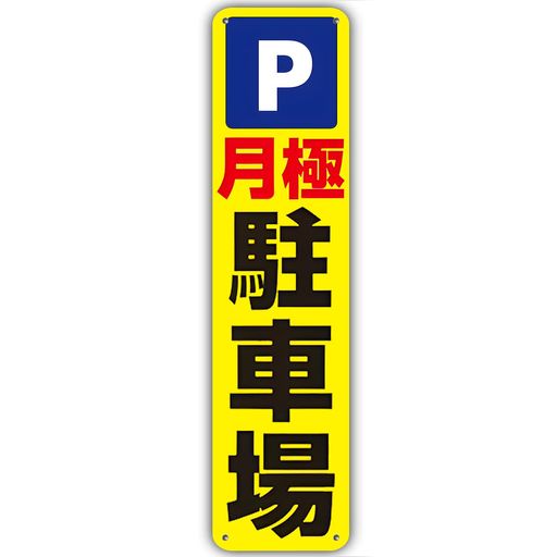 �ڷ����־�����ķٹ�ץ졼����־���ķ����־�������־쥳����ѡ��������մ����ٹ�ɸ����ֶػ����մ���ɽ���ĥץ졼�ȥ����������40cmx10cm�ػ�ɸ��...