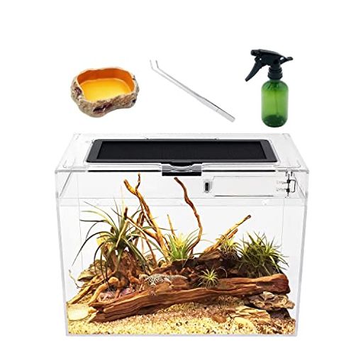 Reptile Growth 爬虫類 ケージ 透明 爬虫類ケージ 飼育容器 小動物用 カメ亀 タンク 両生類用飼育ケース 飼育ボックス 30*18*22cm, カメ、クモ、カエル、ゲッコ、カマキリ、ヘビ、サソリ、庵ク…