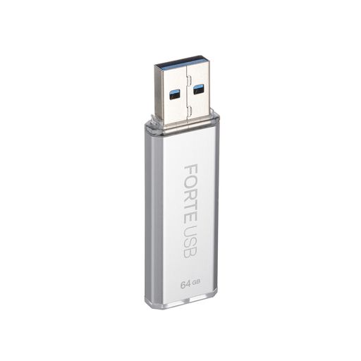 ForteUSB64GB暗号化USB3.2フラッシュドライブ、XTS-AES暗号化、パスワード認証、自動ロック、シルバー金属ケース(64GB)