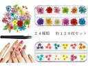 ドライフラワーレース押し花120枚レジンアートやネイルに24色x各5枚ケース入透明収納ケース付き