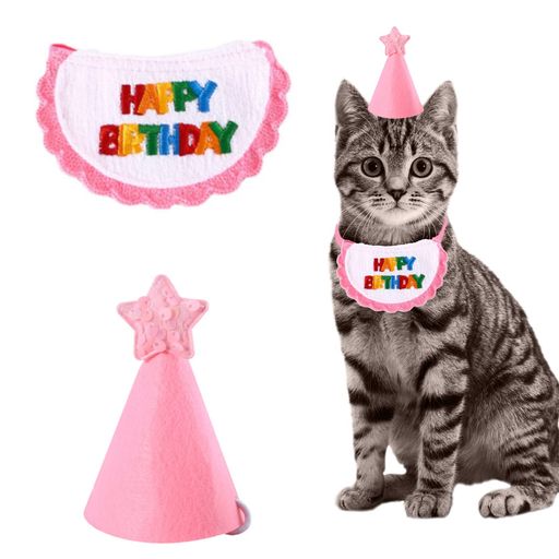  ǭ ˹ 3 2ĥå HAPPY BIRTHDAY Х 줫 ñե İ դ ڥå ...