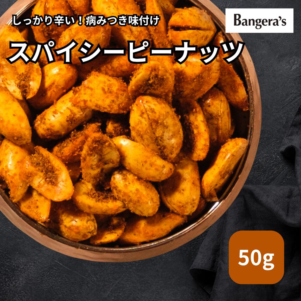 バンゲラズ スパイシーピーナッツ 50g マンガロール バンゲラズキッチン インドカレー 南インド料理 Ba..