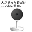 【国内ブランド】ieCame IPカメラ RS-WFCAM1 小型 防犯カメラ ワイヤレス 屋内 子供 見守り カメラ ペット 見守りカメラ 赤ちゃん 家庭用 スマホ クラウド SDカード ネットワークカメラ WiFi 室内 動体検知 通知