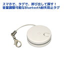 【4/27 9：59迄 P2倍 最大2千円OFF】Bluetooth 紛失防止タグ RS-SEEK3 スマホ 携帯 着信 ストラップ 財布 鞄 スマホ 置き忘れ 防止 ブルートゥース 着信 振動 お知らせ 振動 着信 スマホ 置き忘れ防止 bluetoothタグ タグ 着信お知らせ bluetooth iphone 着信 お知らせ