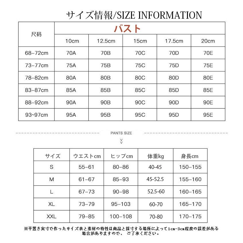 ショーツ 上下セット ブラジャー レディースファッション ランジェリー ブラ 下着 女性用 婦人 3/4カップ シースルー 透 快適な レース セクシー ブラ 調整型 3