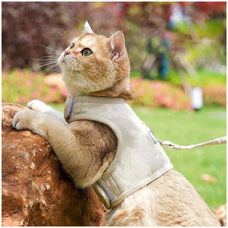 キャ ネコ 猫用 猫ハーネス 調節可能 歩行補助 散歩 超軽量 胴輪 ペット用品 首輪 ...