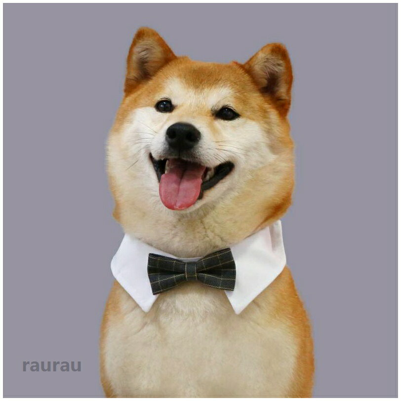 Choker - 茶 黒 アクセサリー チョーカー 結婚式 スタイリッシュ チェック デニム 小型 犬 猫 バンド おしゃれ 首輪 紳士 ペット