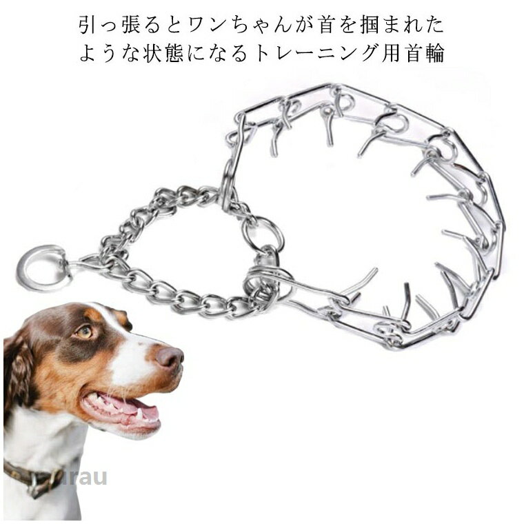 安 お散歩 首輪 犬用品 超大型犬 大型犬 中型犬 小型犬 チタン製 チェーンカラー しつけ用カラー 訓練 しつけ 首輪 引っ張り防止