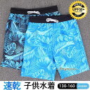 水着 キッズ 男の子 サーフパンツ 短パン 海パン フィットネス水着 スイムウェア 花柄 UV スイミング 子供 ジュニア 水泳 速乾 練習用 プール