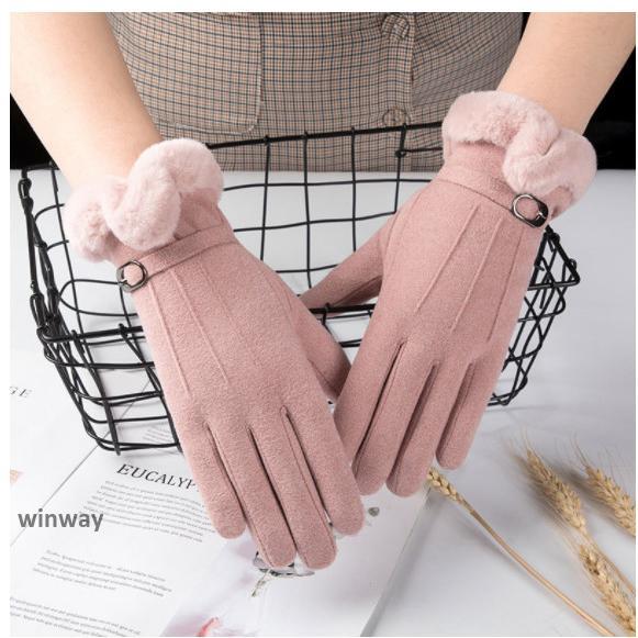 ǥ ץ쥼  ʪ ɴк    Ȥ ι   £ʪ 襤