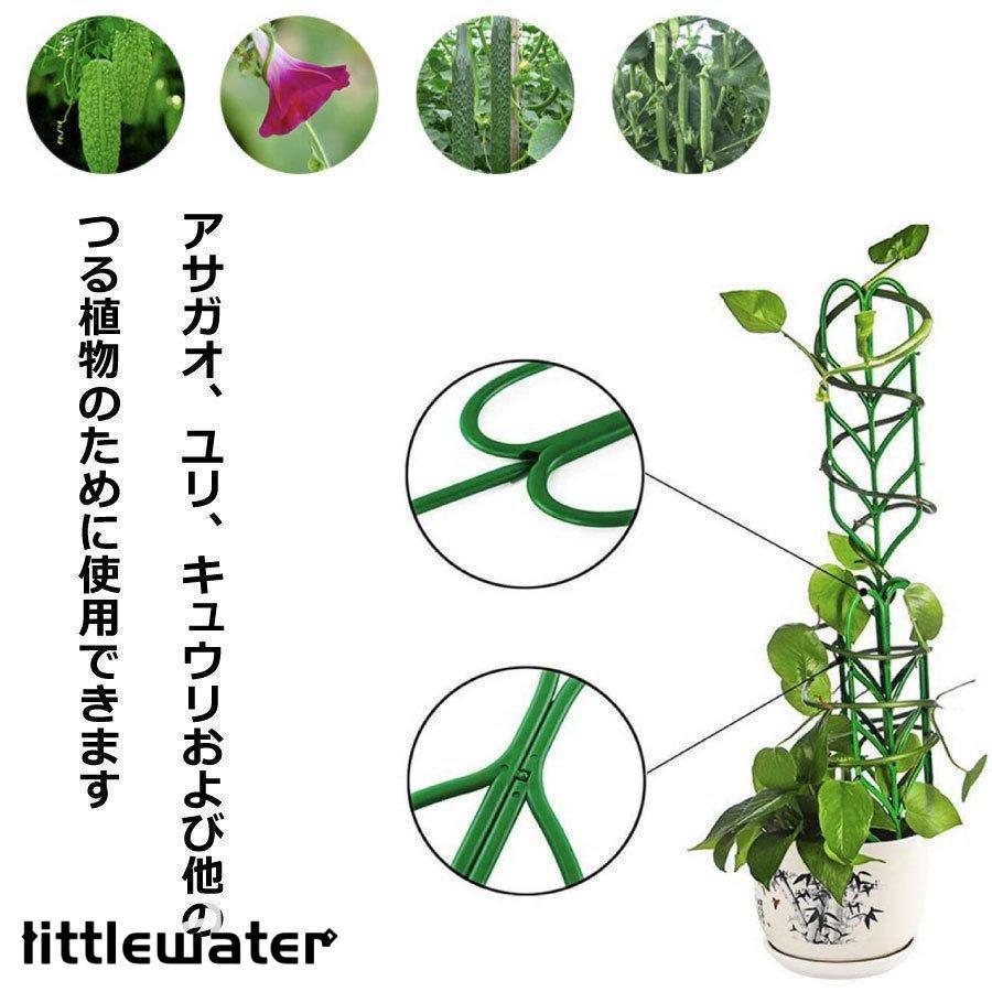 ��ʪ���� ��ʪ ���� ���ִ�ñ �� �ץ�󥿡��ȥ�ꥹ ��� �����ǥ˥����� ����ȭ ���տ�ʪ ��ȭ