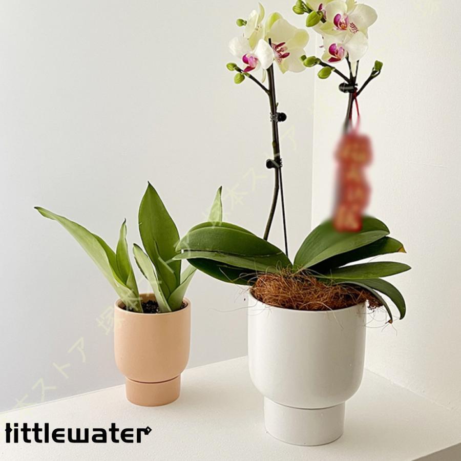 陶器鉢 鉢植え 陶器製 トレイ付き H14cm H18.5cm 園芸用品 ガーデン プレゼント 北...
