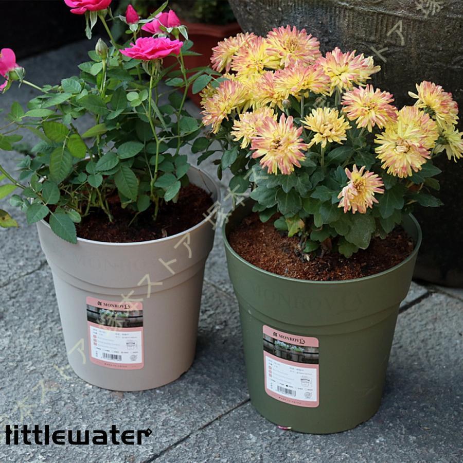観葉植物プランター 植木鉢 樹脂製 プラスチック鉢 大きい 園芸 ガーデン プレゼント 現代 複数色から選べる ガーデニング用品 バルコニー 底に水抜き穴あり