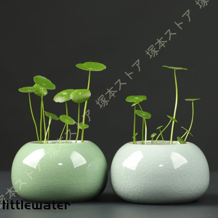 陶器鉢 植木鉢 セラミック 水抜き穴なし 水耕栽培です 園芸用品 ガーデン プレゼント シンプル ガーデニング用品 ショップ 受け皿なし 多肉植物鉢 ギフト