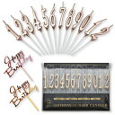 バースデー ナンバー キャンドル 誕生日 記念日 お祝い 12本セット Happy birthday ケーキ飾り2本付 インスタ映え 数字型 高級 ろうそく おしゃれ シャンパンゴールド スタイリッシュロングサイズ birthday number candle