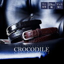 【15%OFFクーポン配布中】メンズ ベルト クロコダイル 本革 ワニ革 レザーベルト 細め 29mm 30mm バックル 日本製 カジュアル ビジネス 革ベル...
