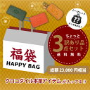 福袋 2025 クロコダイル 本革 財布 コインケース キーケース 3点セット 訳あり品 レディース アウトレット 本物 送料無料 訳あり品 ギフト プレゼント