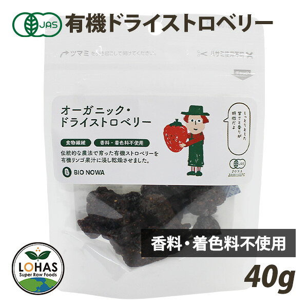 オーガニック ドライストロベリー 40g 有機JAS認証 いちご 砂糖不使用 香料不使用 着色料不使用 ローフード 酵素 ドライフルーツ BIONOWA ビオノワ ロハス LOHAS