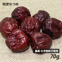 無添加・哈密（はみ）なつめ 70g（5〜7粒） 農薬不使用 化学肥料不使用 砂糖不使用 無漂白 無添加