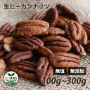ピーカンナッツ(生) 100g・300g 無塩 無油 無添加 ローフード 酵素 ダイエット ナッツ ヴィーガンナッツ ビーガン ロハス LOHAS