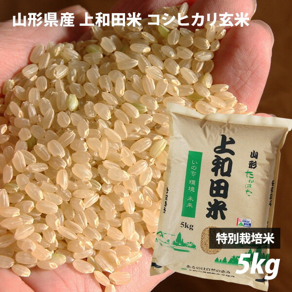 【令和5年産新米】山形県産 コシヒカリ玄米 5kg 特別栽培米 減農薬 上和田米 皇室献上農家 渡部京一さん作 特A 発芽ができる生きた玄米..