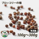 スプラウト ブロッコリーの種 100g・300g 無消毒 非遺伝子組み換え シード スーパーフード サラダ タネ たね 種子 超硫黄分子 ロハス LOHAS