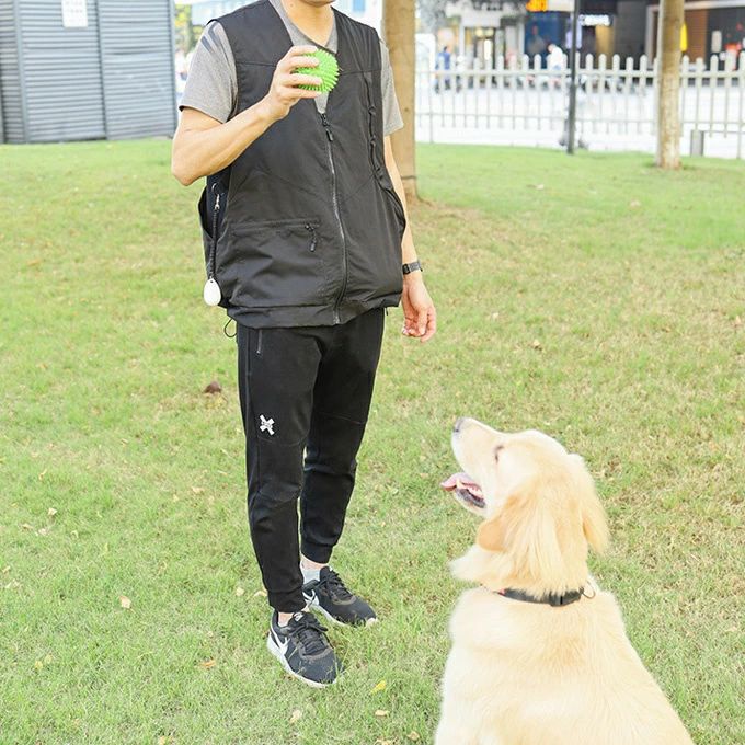 トレーナー用 ベスト ジャケット 高機能 防水 撥水 ポケット 裏地メッシュ 快適 着心地が良い 通気性 高耐久性 犬の訓練 トレーニング