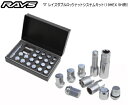 【送料無料】RAYS（レイズ）/RAYS　GEAR☆正規品☆19HEXダブルロックナットシステムキット　5H車用カラー：クロームメッキ