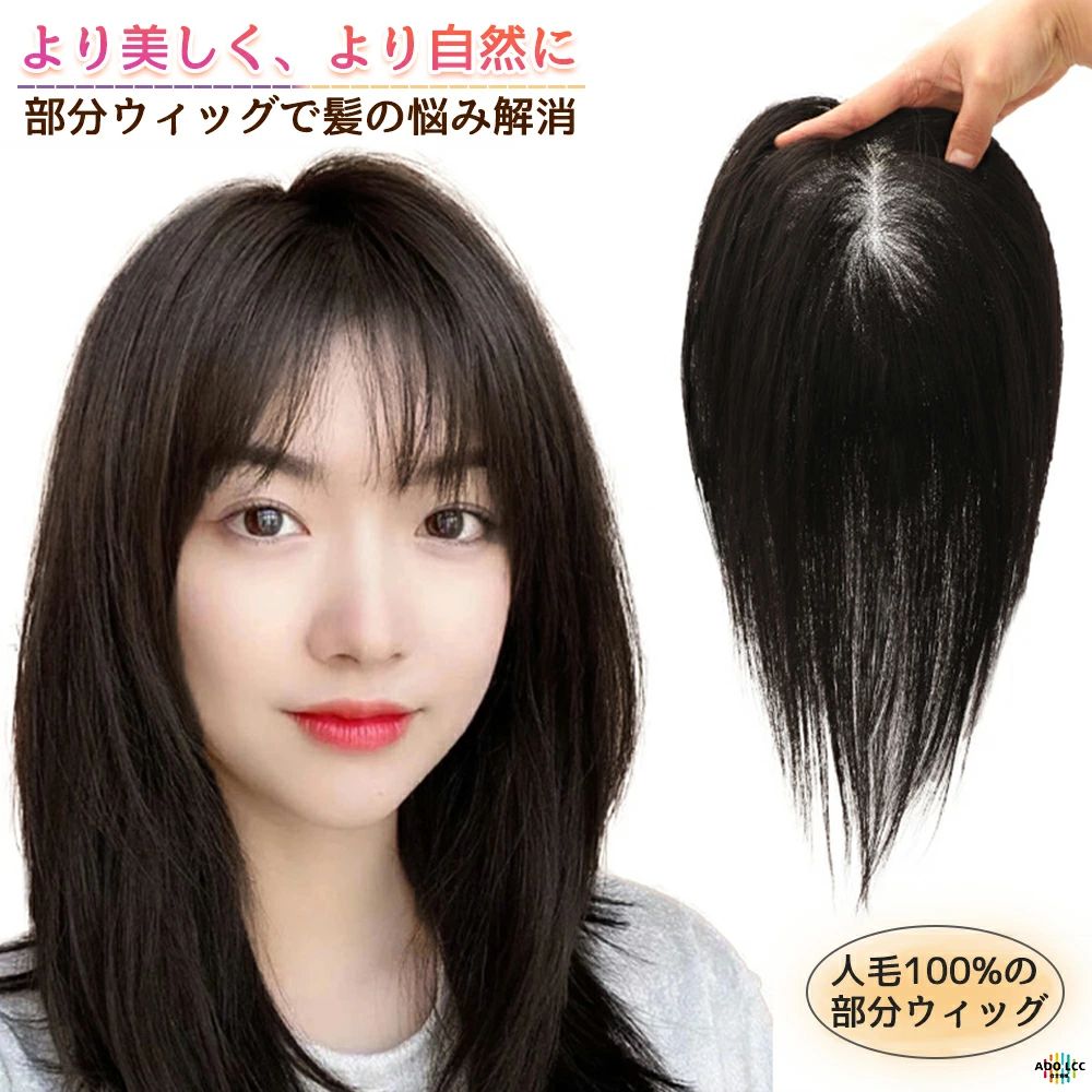 ウィッグ 部分かつら 人毛100％ ボリュームアップ 分け目 薄毛隠し つけ毛 白髪 女性 カツラ ウイッグ ..