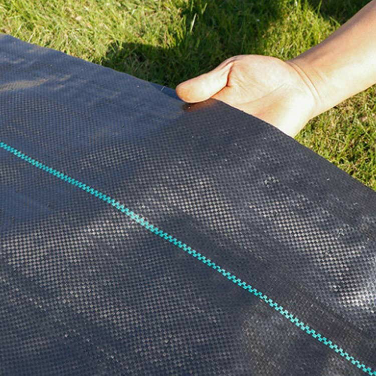 1m��100m ���� �����ɻ� ���ѥ����� ���� ���𥷡��� ���� ���� �� ������ UV������ ����� ���𥷡��� �����ǥ˥� �͹��� ��