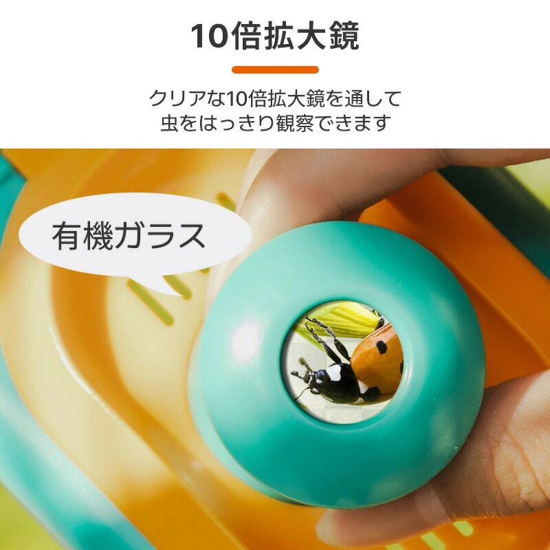 虫かご 昆虫ケース 飼育ケース 12点セット 昆虫 魚 観察 虫観察ケース 昆虫ケージ ...