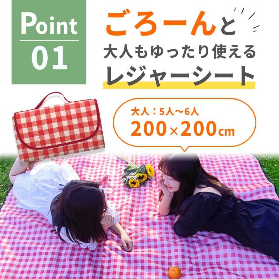 レジャーシート 厚手 大判 コンパクト ピクニック レジャー シート ピクニックシート アウトドア 大きい おしゃれ レトロ 運動会 200×2 rayoheistore-10003219 rayoheistore サンプル画像2