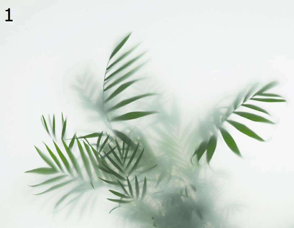 ガラス窓用 目隠しシート 植物柄 外から見えない 断熱 賃貸適用 オフィス 風呂場 ...