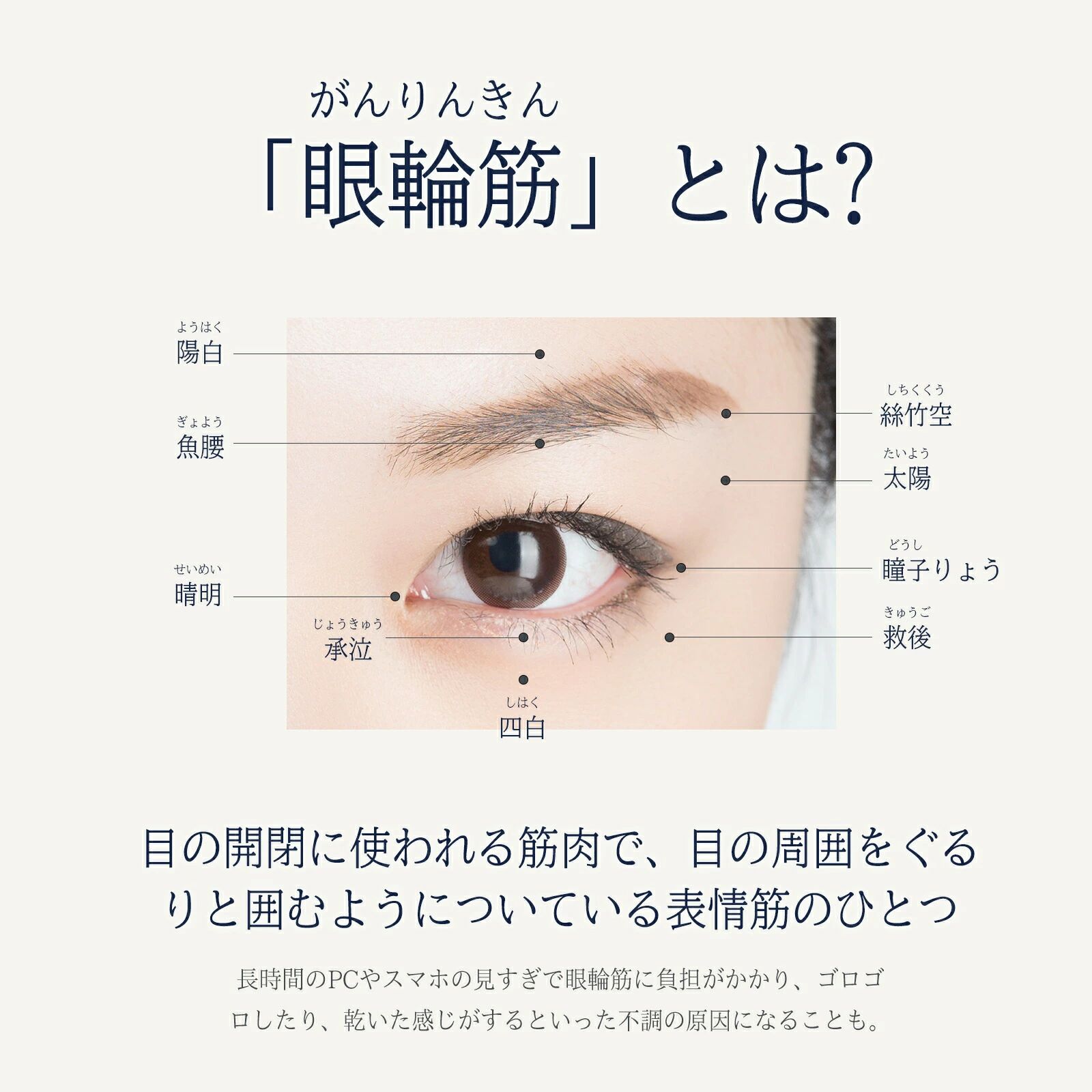 �ۥåȥ����ޥ��� USB ���ż� �����ޥ��� ���륯 �������ʤ� �����ɥ쥹 ���å��� �׸� ����Ĵ�� ��ư��