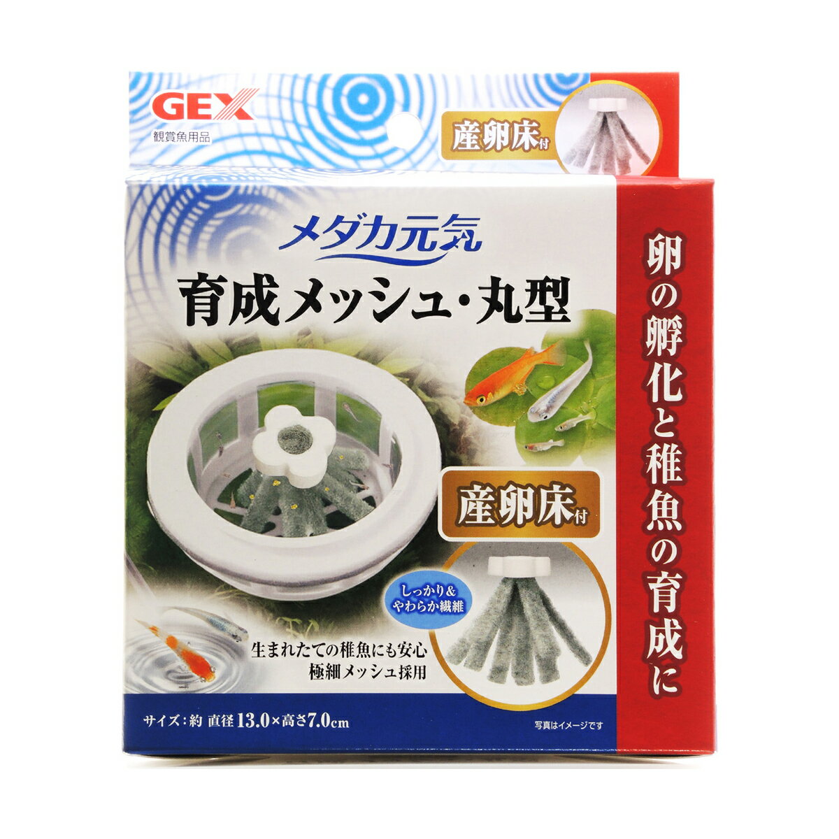 【全国送料無料】GEX メダカ元気 育成メッシュ 丸型 産卵床付