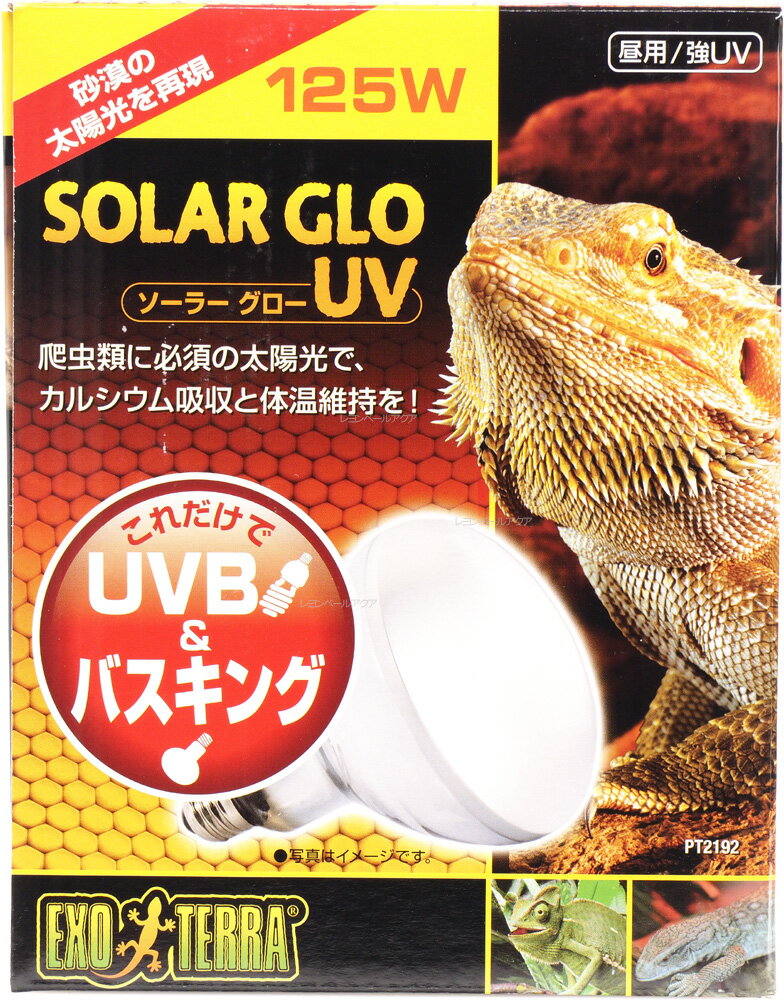 【全国送料無料】GEX エキゾテラ 昼用/強UV ソーラーグローUV125W PT2192