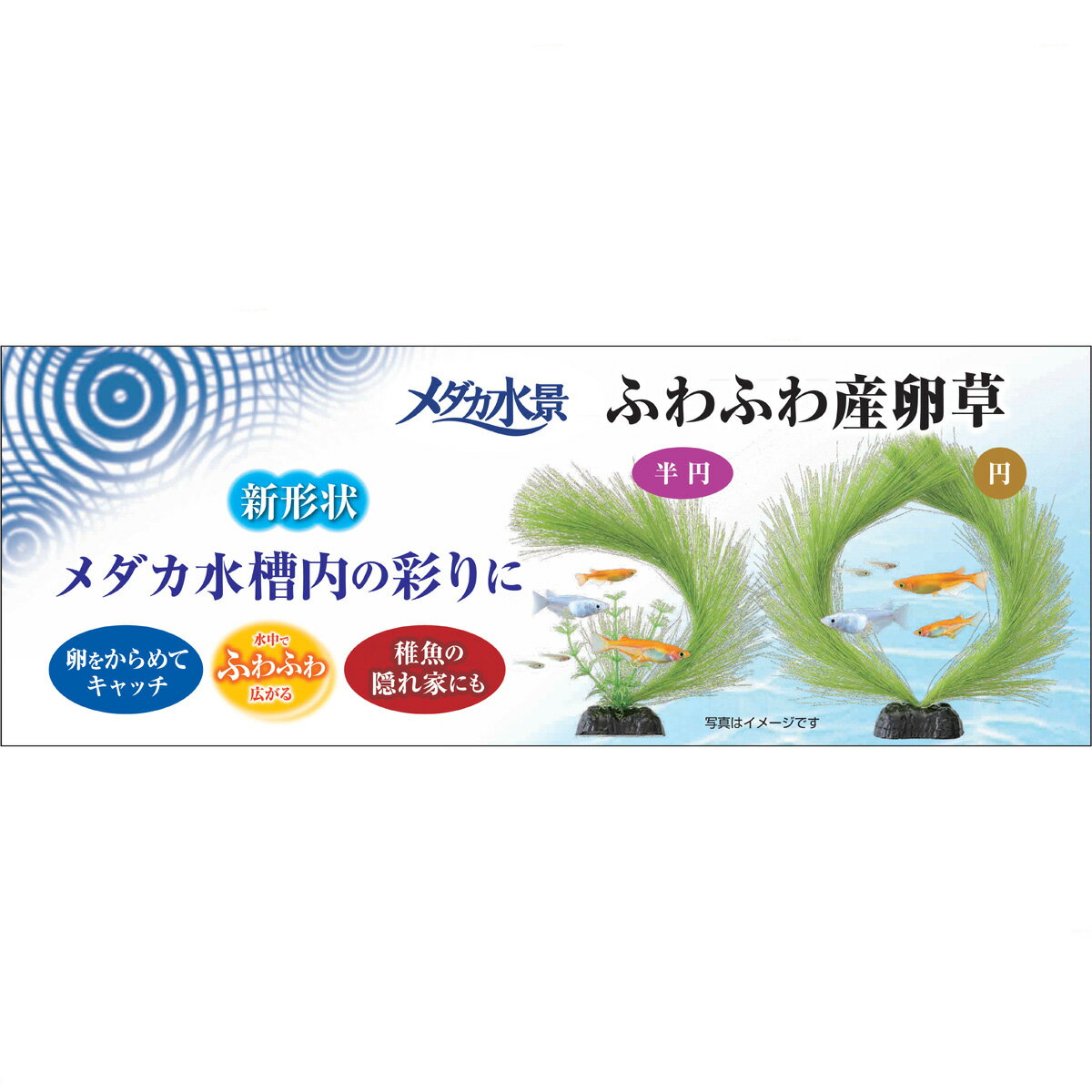 ����������̵����GEX �դ�դﻺ�����