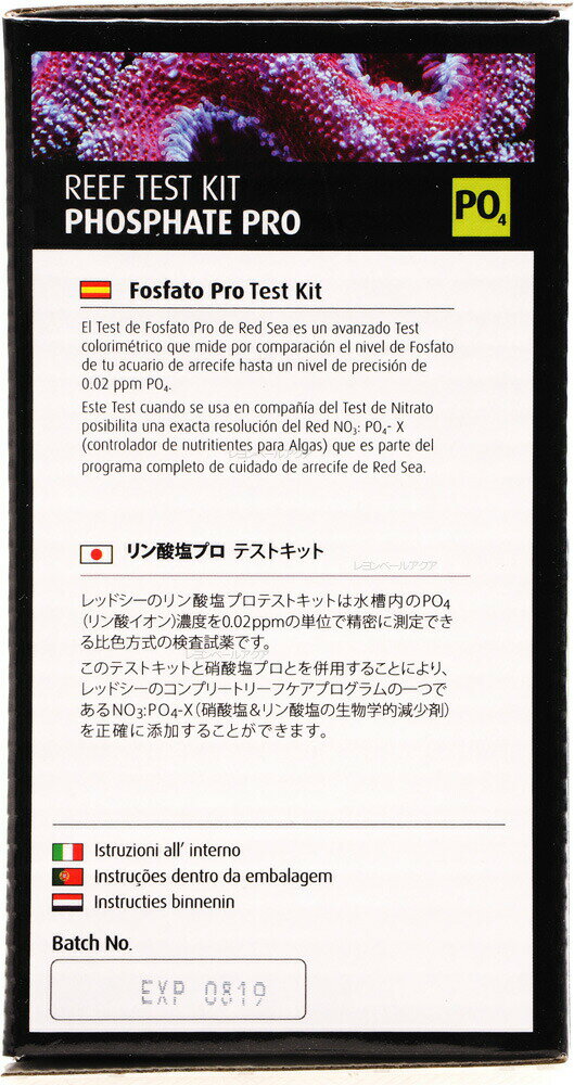 ����������̵���ۥ�åɥ��� �꡼�եƥ��ȥ��å� PO4 �������ץ��ƥ��ȥ��å�