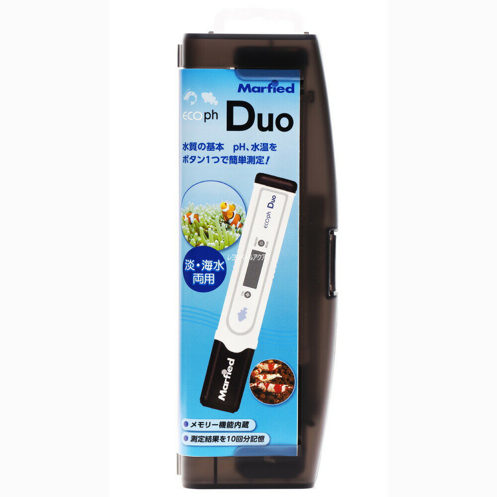 マーフィード　エコペーハー　DUO【水槽/熱帯魚/観賞魚/飼育】【生体】【通販/販売】【アクアリウム/あくありうむ】【小型】