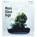 ySzoCIL~A XOXnC Moss Glass High(Vi)