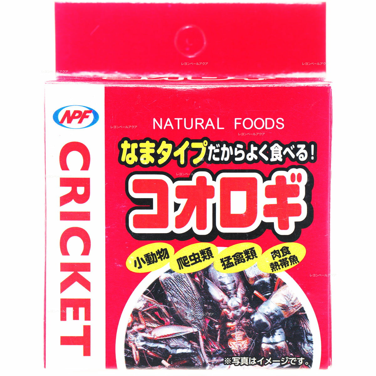 【全国送料無料】ナチュラルペットフーズ NPF コオロギ 40g 赤箱 (新商品)