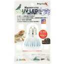 ySz[XC ybgybg][ }CN UV LED E26 zCg  (Vi)