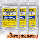 【全国送料無料】ベンリーパック 爬虫類用腸内細菌レプラーゼ(黄地) 100g ×3個(まとめ買い)