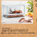 【全国送料無料】GEX エキゾテラ レプテリア クリアネオ 400 スリム