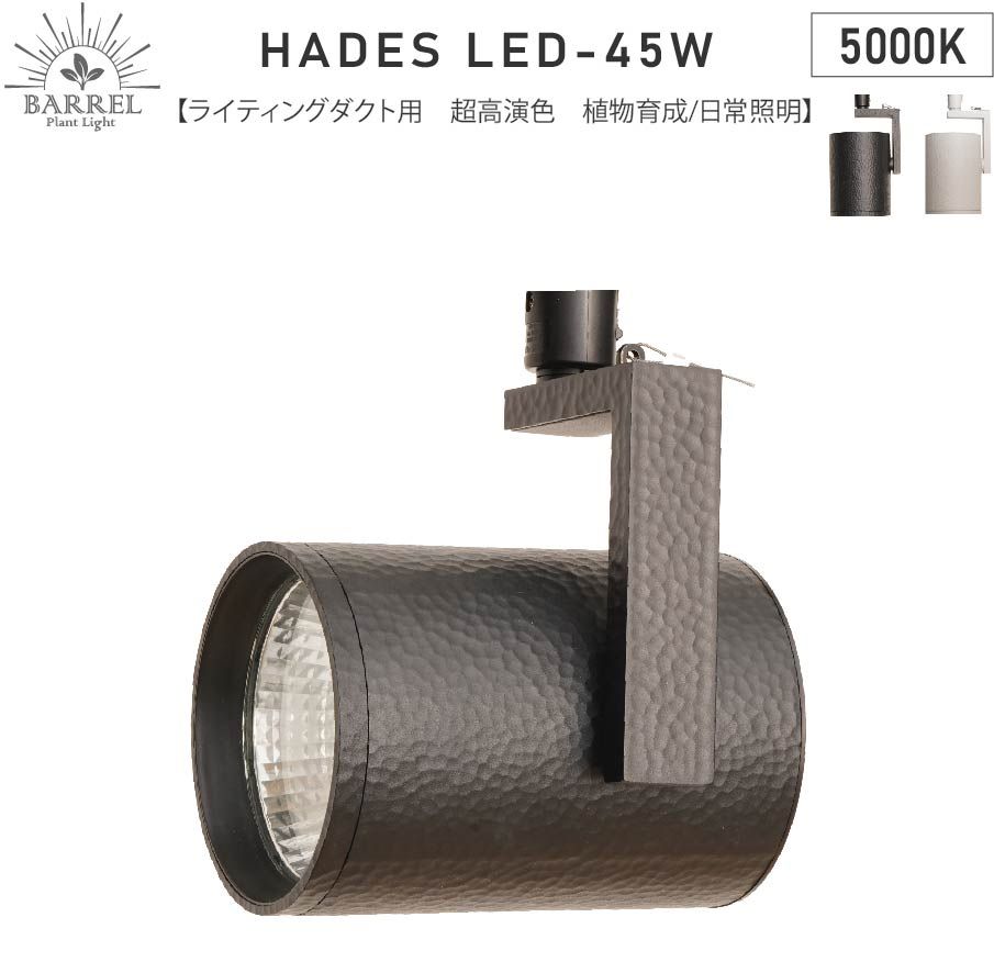 BARRELバレル HADES LED 45W-5000K ブラック (新商品)