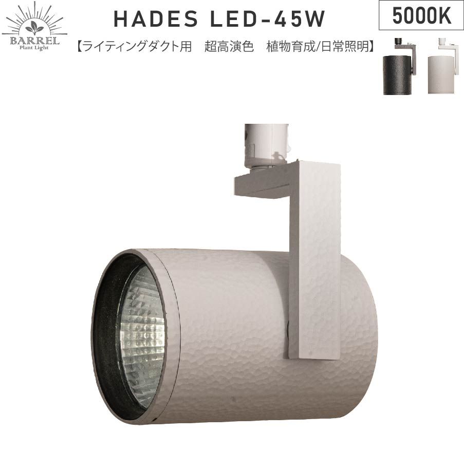 BARRELバレル HADES LED 45W-5000K ホワイト (新商品)